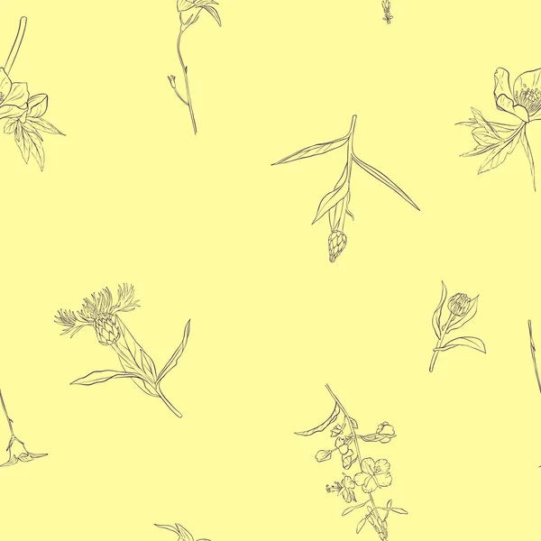 Patrón sin costura vectorial con flores de dibujo — Archivo Imágenes Vectoriales