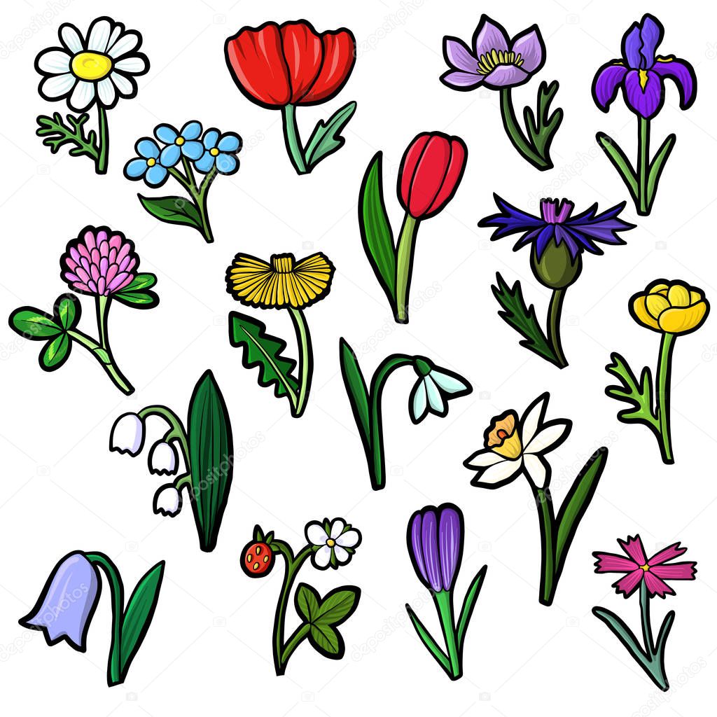 vector set of flowers