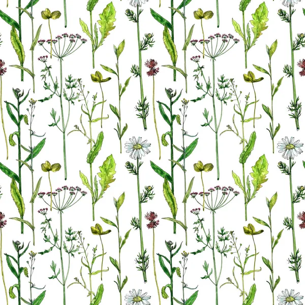 seamless pattern with flowers and plants