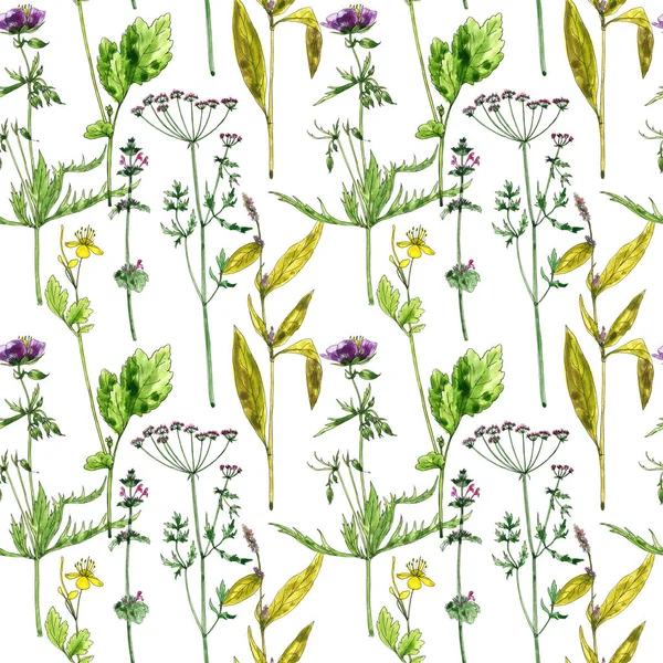 seamless pattern with flowers and plants