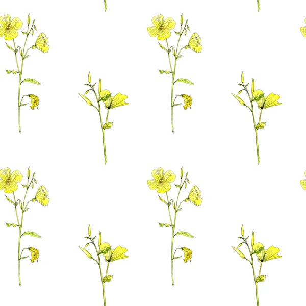 Bezproblemowy wzór z kwiatami i roślinami — Zdjęcie stockowe