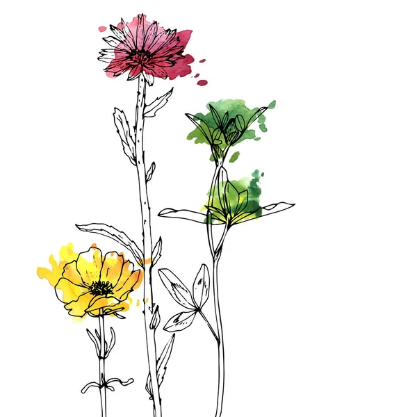 Disegno vettoriale erbe e fiori — Vettoriale Stock