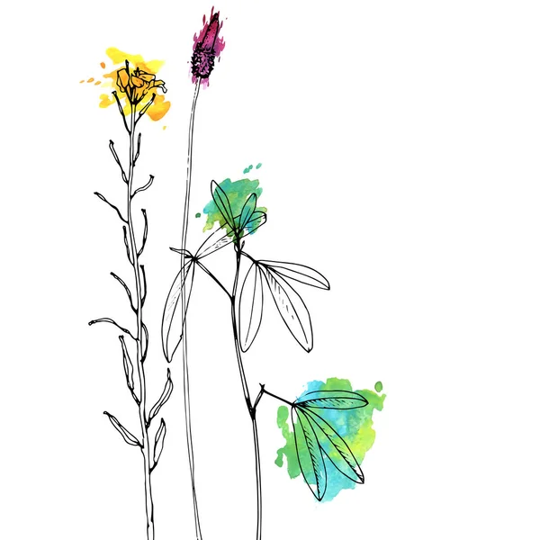 Vektorové kreslení bylinky a květiny — Stockový vektor