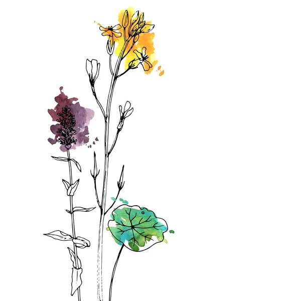 Vektorové kreslení bylinky a květiny — Stockový vektor