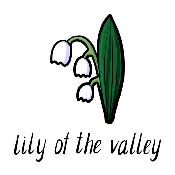 Fiore vettoriale di giglio della valle — Vettoriale Stock