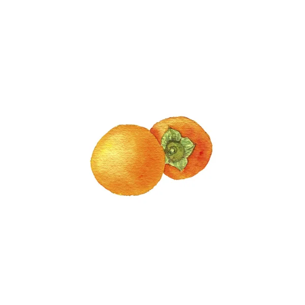 Acuarela dibujo caqui frutas — Foto de Stock