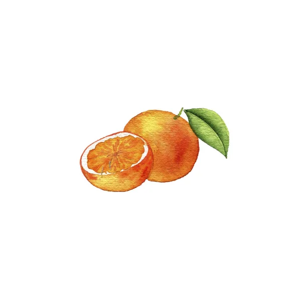 Watercolor drawing orange — Stock Photo, Image