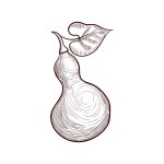 子供のための塗り絵 果物と野菜 パラミツ ストックベクター C Ksenya Savva 8414