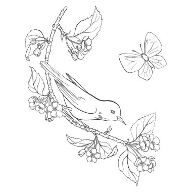 kuş ağaç dalında