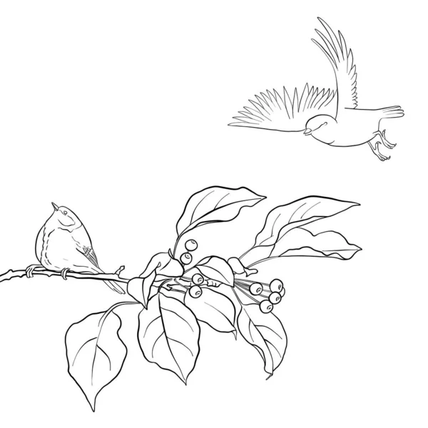 Oiseau à la branche d'arbre — Image vectorielle