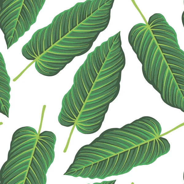 Vektor nahtlose Muster mit Zeichnung tropisches Blatt — Stockvektor