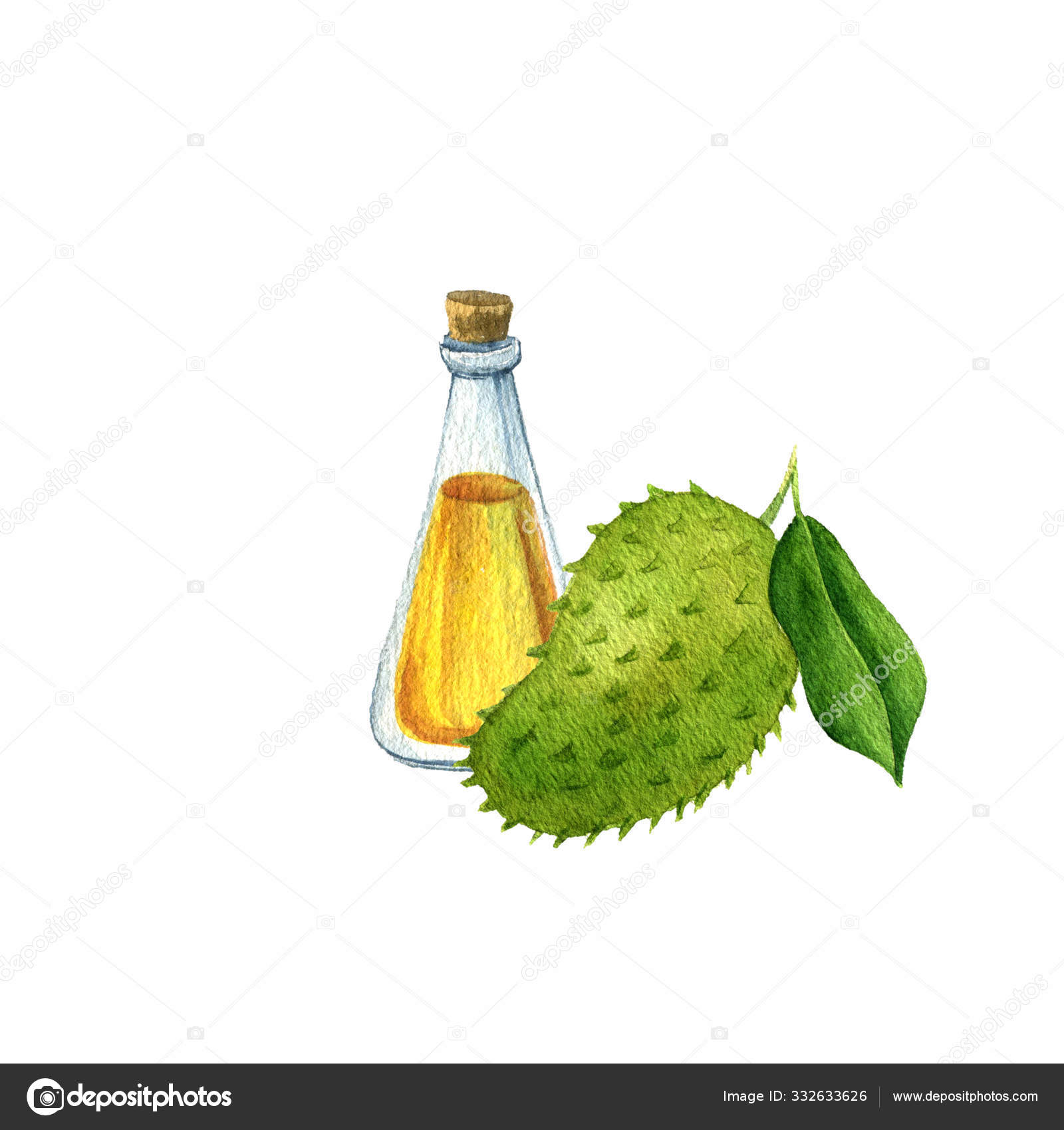 174 Guyabano Stock Photos Free Royalty Free Guyabano Images Depositphotos 174 Guyabano Stock Photos Free Royalty Free Guyabano Images Depositphotos
