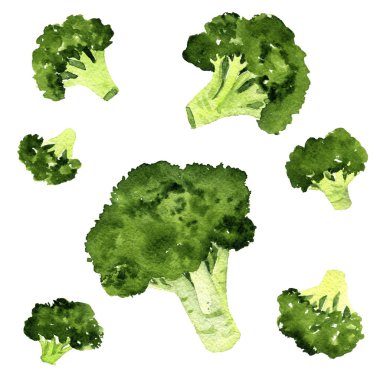 suluboya brokoli çizimi