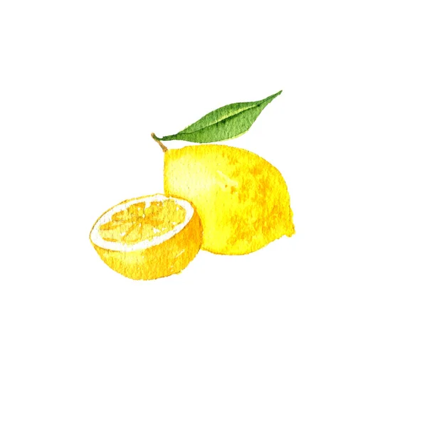水彩画柠檬 — 图库照片