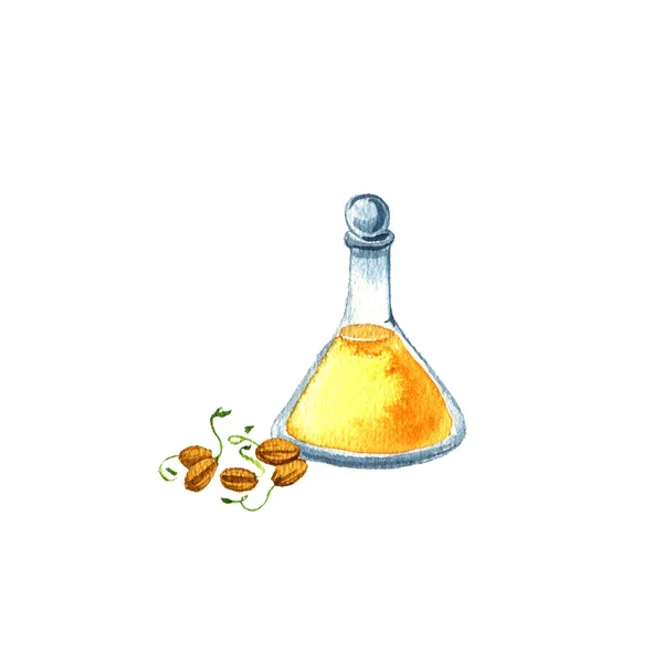 Acuarela dibujo aceite de germen de trigo —  Fotos de Stock
