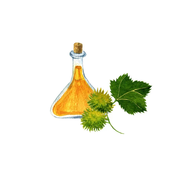 Aquarelle dessin huile de coqueron — Photo