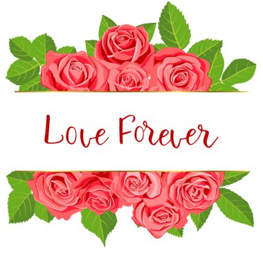 vektör çizimi çiçekleri