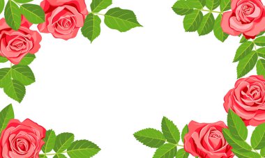 vektör çizimi çiçekleri