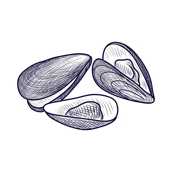 Cozze da disegno vettoriali — Vettoriale Stock