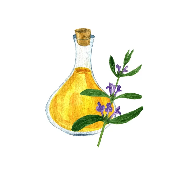 Акварельний малюнок лалемантійської олії — стокове фото