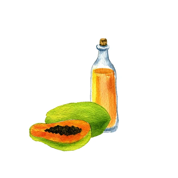 Waterverf tekening papaja zaad olie — Stockfoto