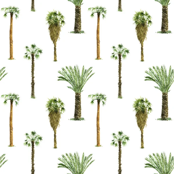 Modèle sans couture avec des palmiers — Photo