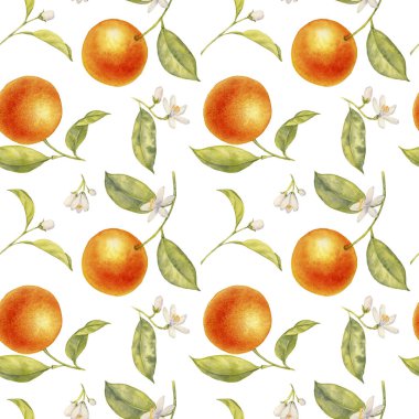 Portakal ağacının suluboya dalı