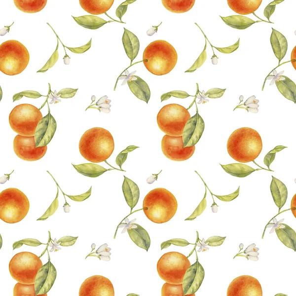 Aquarela desenho ramo de árvore laranja — Fotografia de Stock