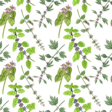 Vahşi bitkiler ve çiçeklerle kusursuz desen