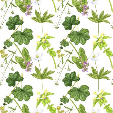 Vahşi bitkiler ve çiçeklerle kusursuz desen