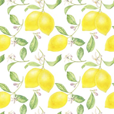 suluboya limon dalı