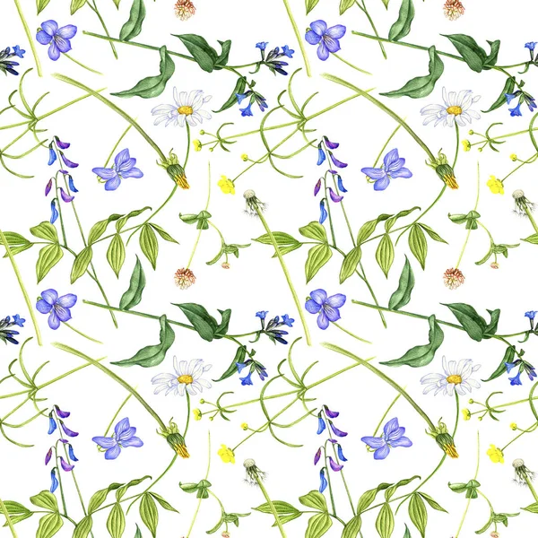 Naadloos patroon met wilde planten en bloemen — Stockfoto