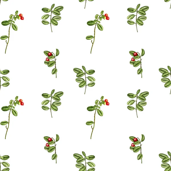 Seamless pattern with wild plants and flowers — Stock Photo, Image