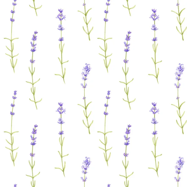 Nahtloses Muster mit Wildpflanzen und Blumen — Stockfoto