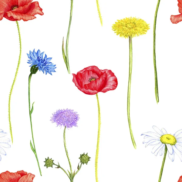 野生植物や花とのシームレスなパターン — ストック写真
