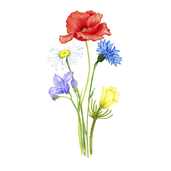 Bukiet z dzikich roślin i kwiatów — Zdjęcie stockowe