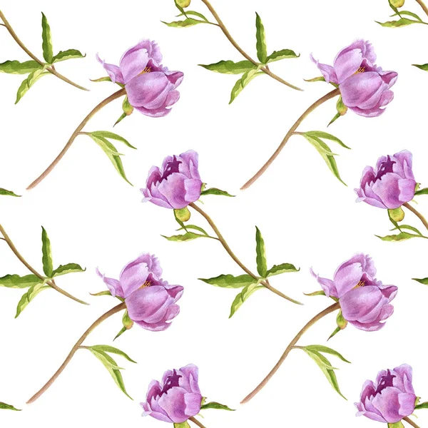 Seamless pattern with pink peony flowers — Stock Photo, Image