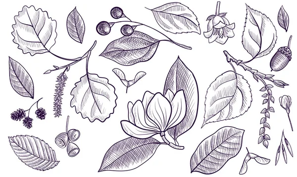 Dessin vectoriel vintage motif floral — Image vectorielle