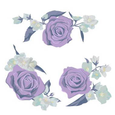 vektör çizim çiçekleri