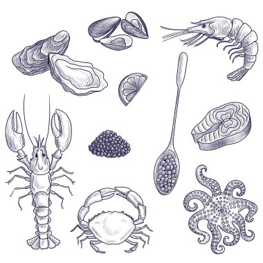 vektör deniz ürünleri çiziyor