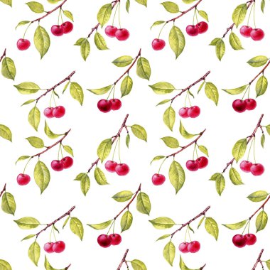 Kiraz ağacının dallarıyla kusursuz desen