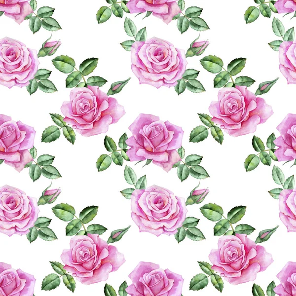 Aquarelle dessin fleurs de rose — Photo