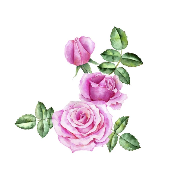 Aquarelle dessin fleurs de rose — Photo