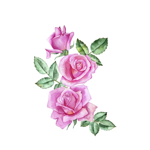 Watercolor drawing flowers of rose — Stock Photo, Image