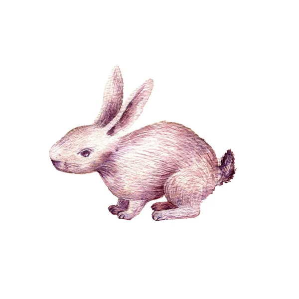 Söt kanin ritning i akvarell — Stockfoto