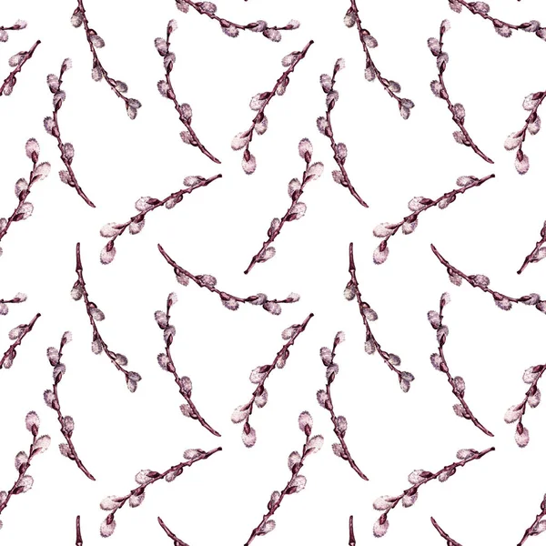 Seamless pattern with pussy willow branches drawing in watercolor — Stock Photo, Image