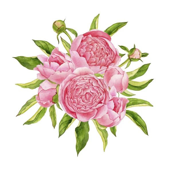 Acquerello disegno rosa fiori di peonia — Foto Stock