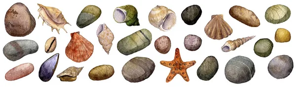 Aquarela desenho conchas e pedras — Fotografia de Stock