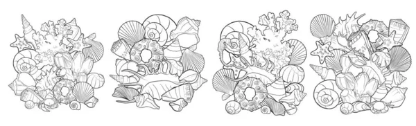 Vectorsamenstellingen met schelpen — Stockvector