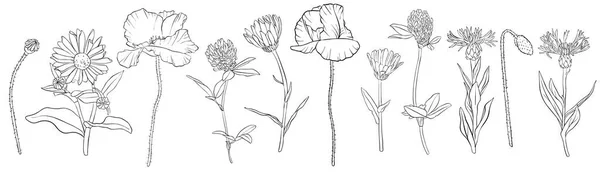 Vector dibujo flores — Archivo Imágenes Vectoriales